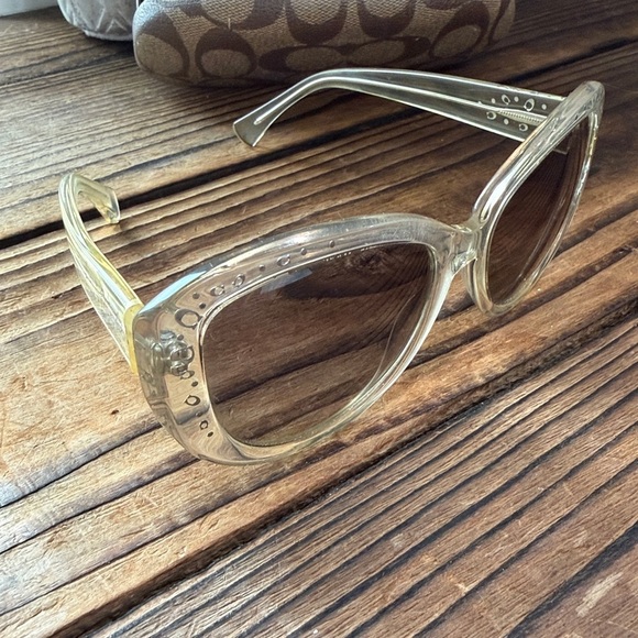 Coach Women\'s HC8162 HC/8162 Fashion Cat Eye Sunglasses main image 6